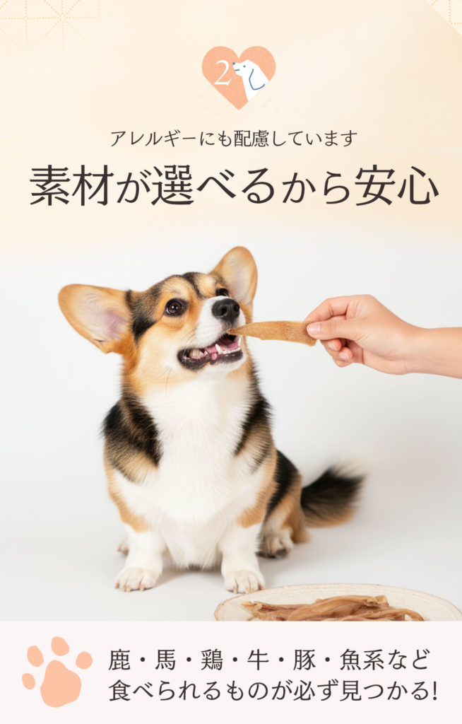 楽天商品画像・商品LP制作｜ペット用品 EC運営代行および
楽天商品画像の制作のご依頼をいただきました。